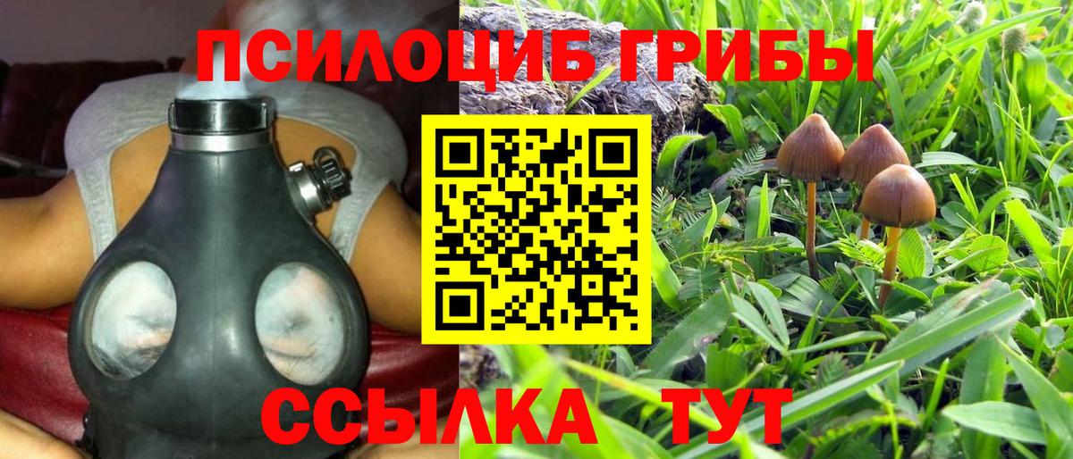Тутаев  Галлюциногенные грибы мицелий  Вход с VPN 