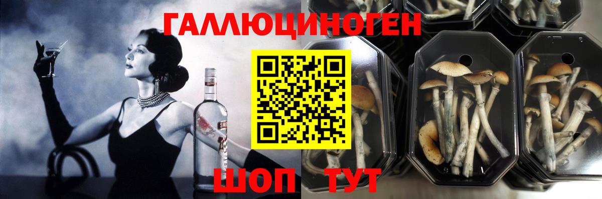 Галлюциногенные грибы ЛСД Тутаев